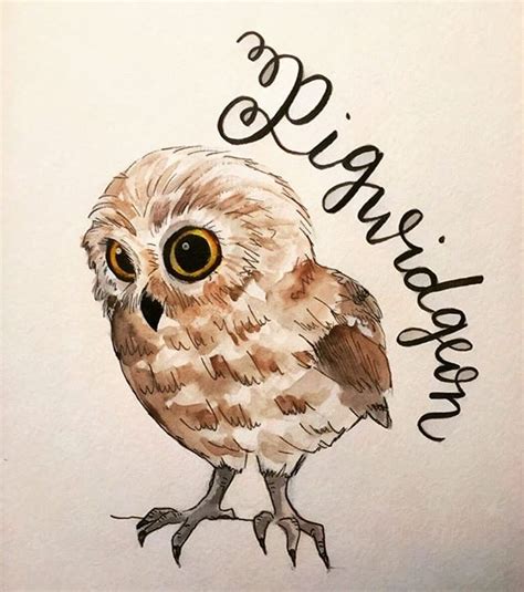 pigwidgeon harry potter|how to draw pigwidgeon.